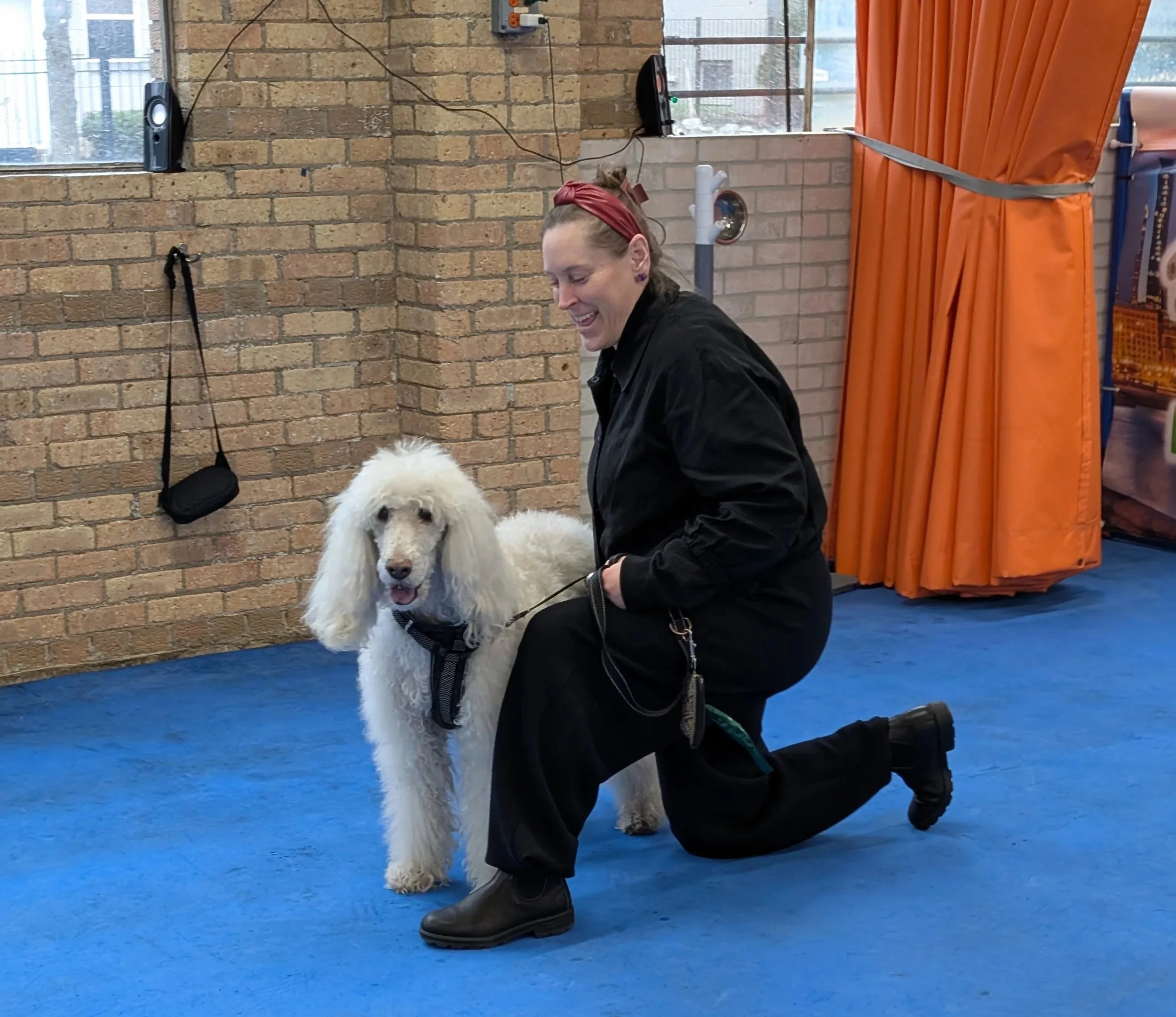 Discover Dog Dance
