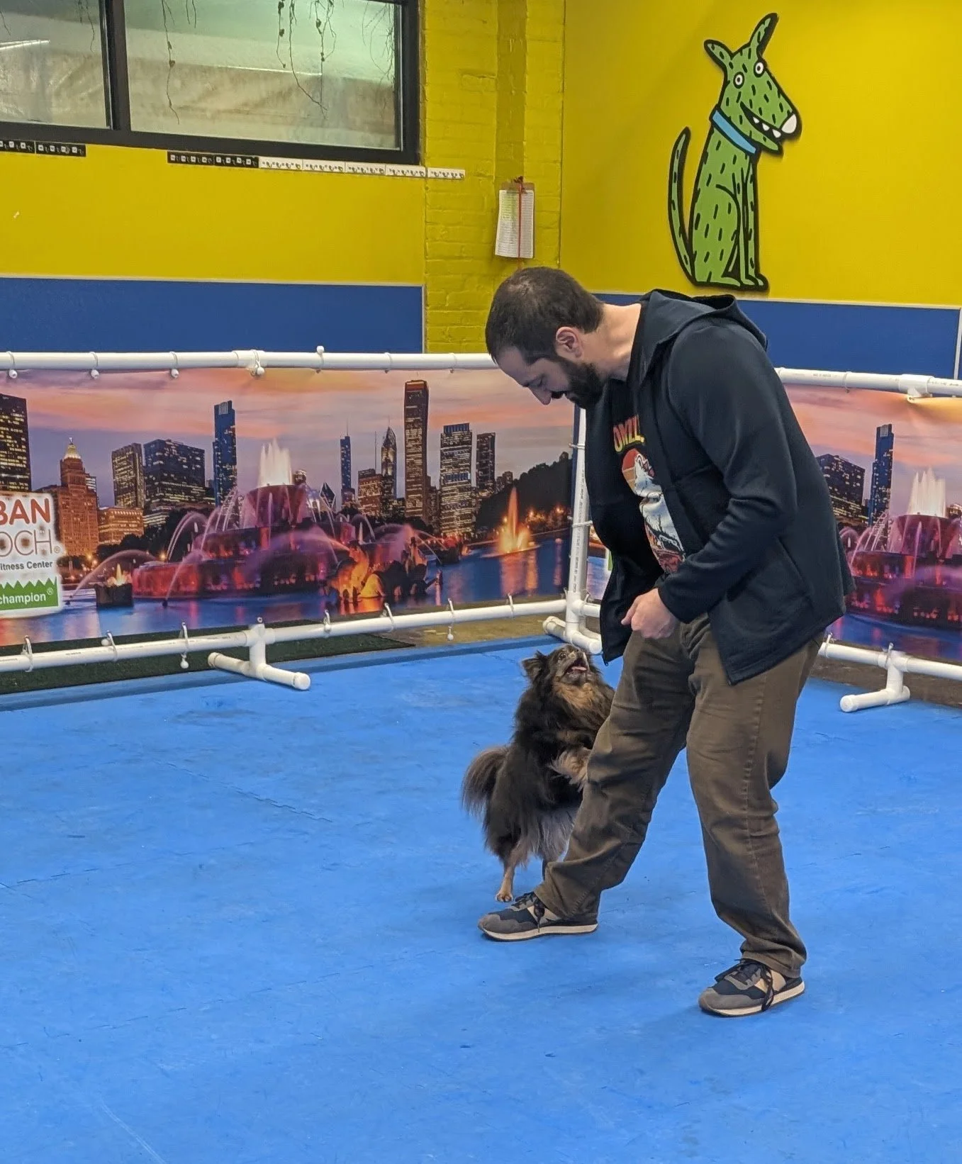 In-person Beginner Dog Dance Class (Five weeks)