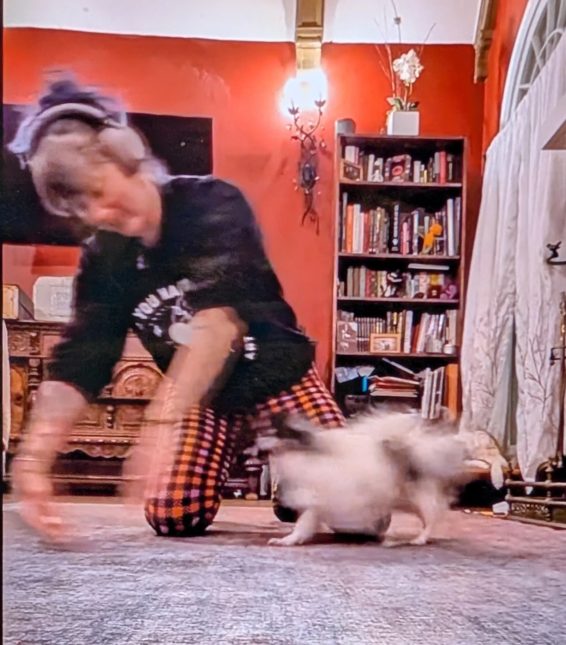 In-person Intermediate Dog Dance (Five weeks)