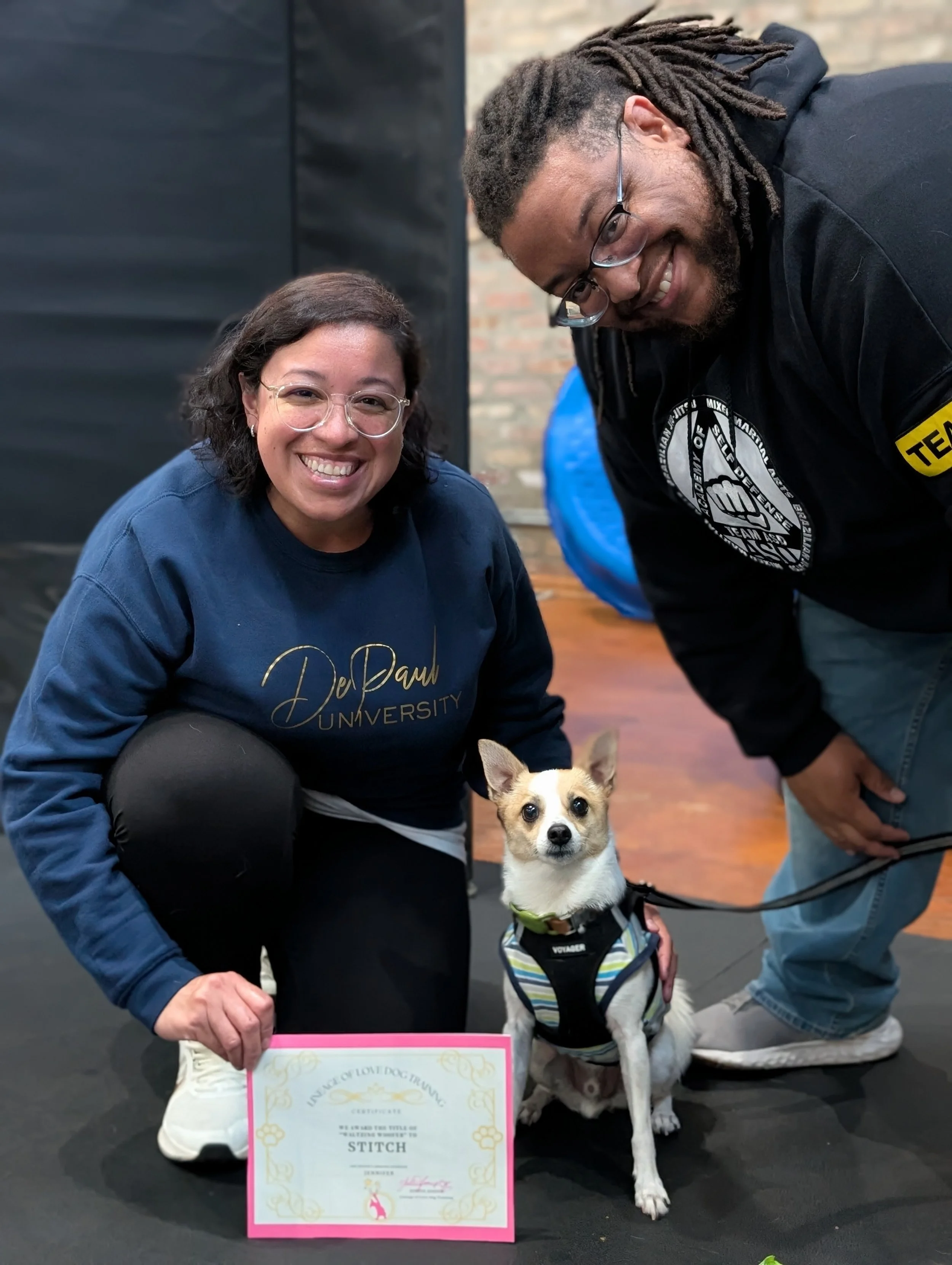 Dog Sports Sampler: Track 1 (four weeks)