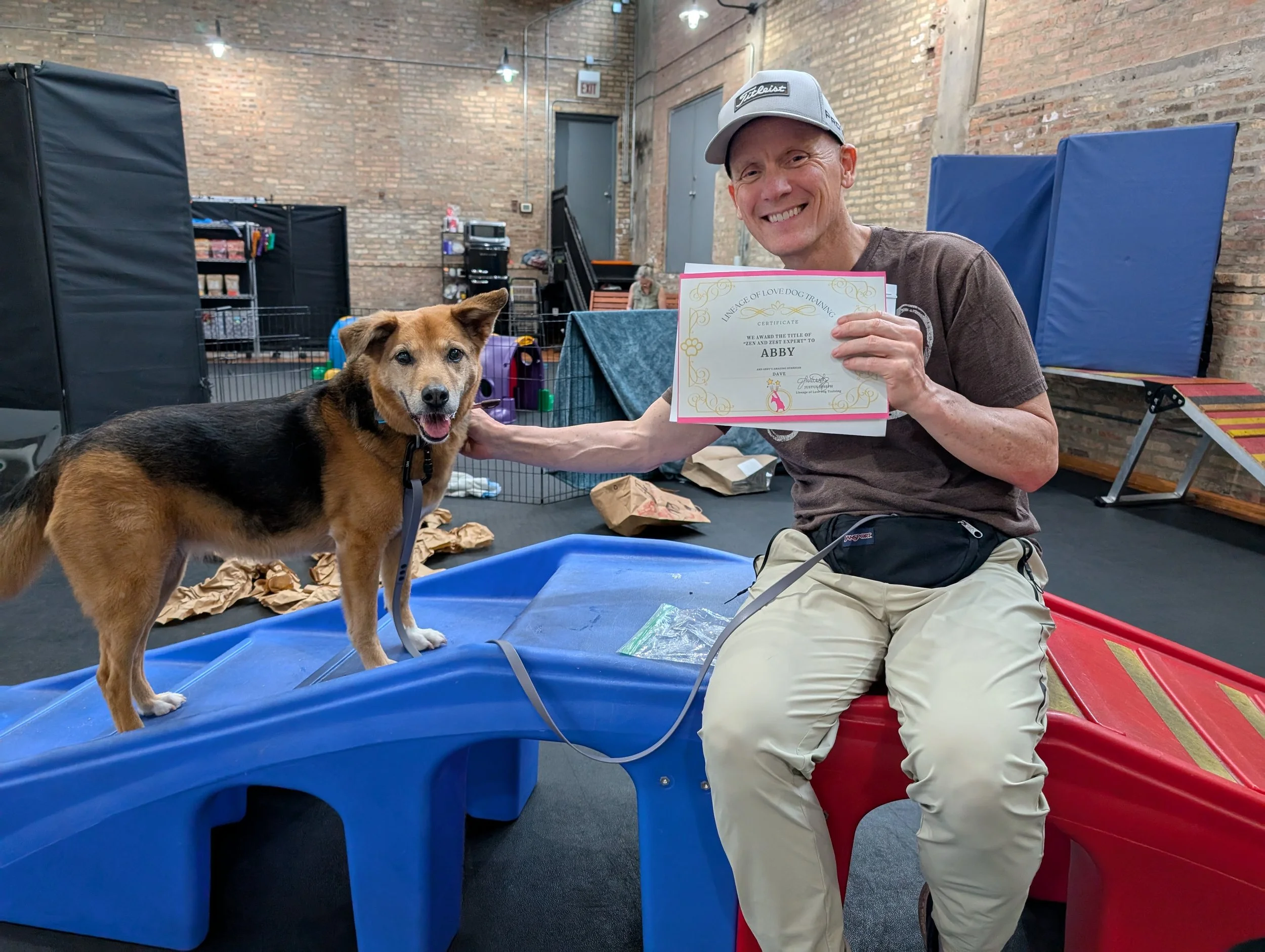 Dog Sports Sampler: Track 3 (four weeks)