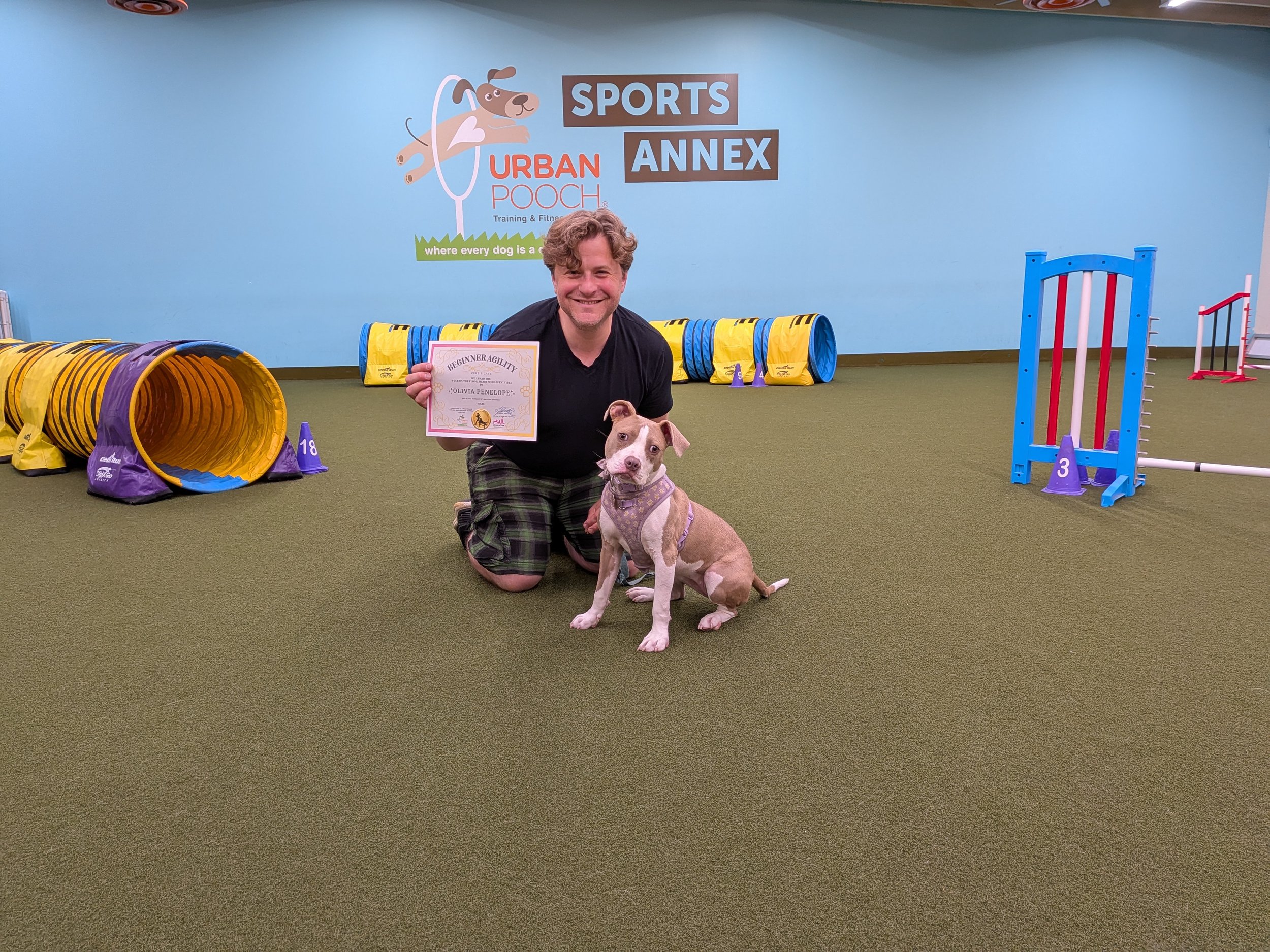 Beginner Agility