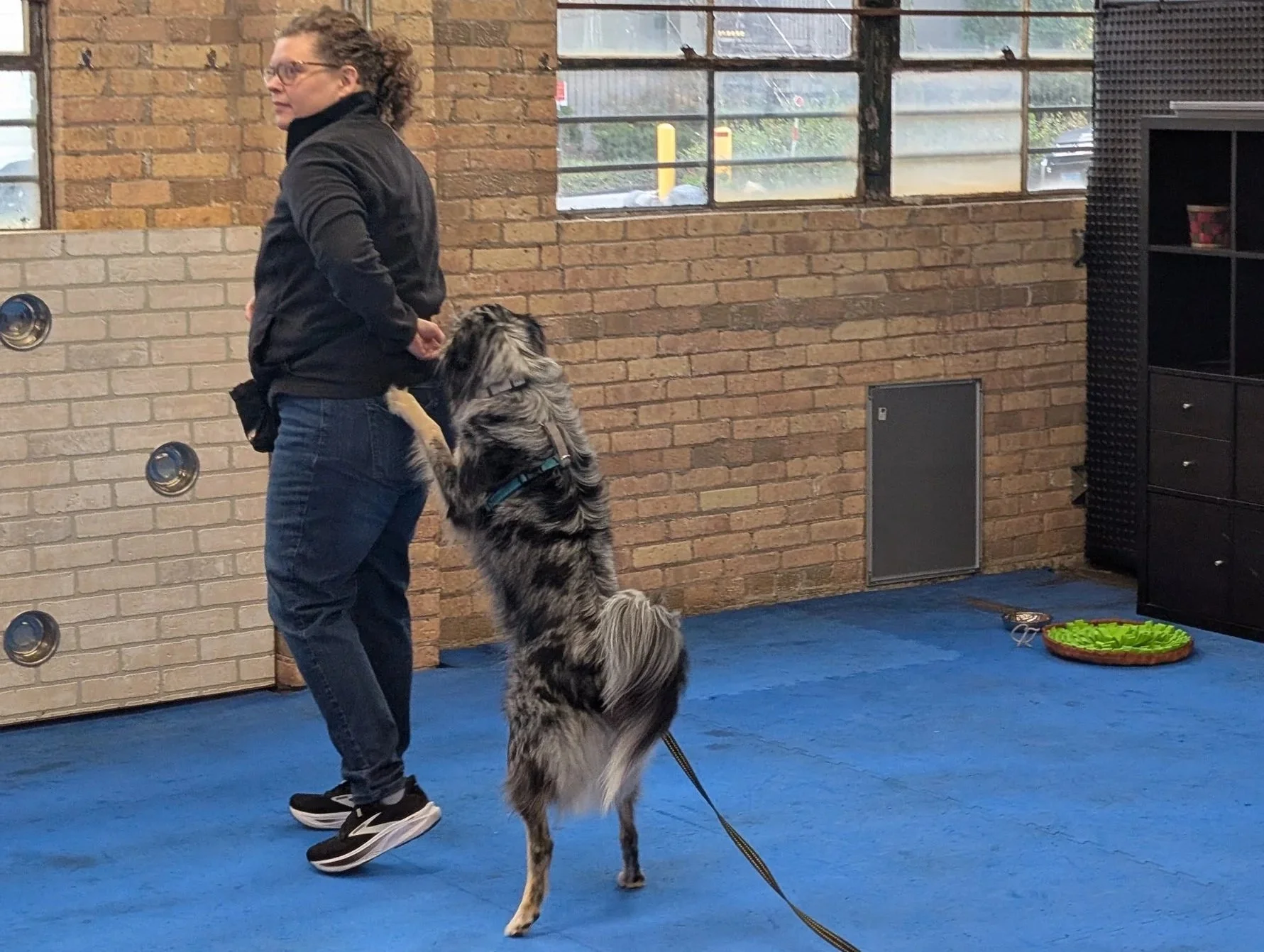 Beginner Dog Dance at Urban Pooch
