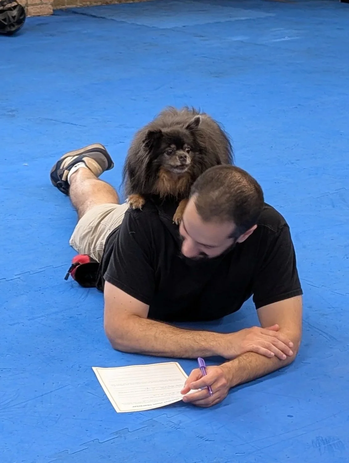 Intermediate Dog Dance at Urban Pooch