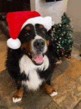 Dancing through the Howlidays