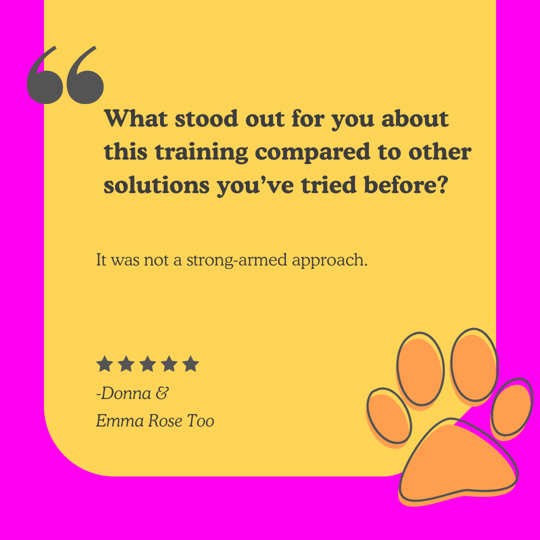 A colorful graphic with pink and yellow background featuring a quote about training, including a paw print illustration and five-star rating.