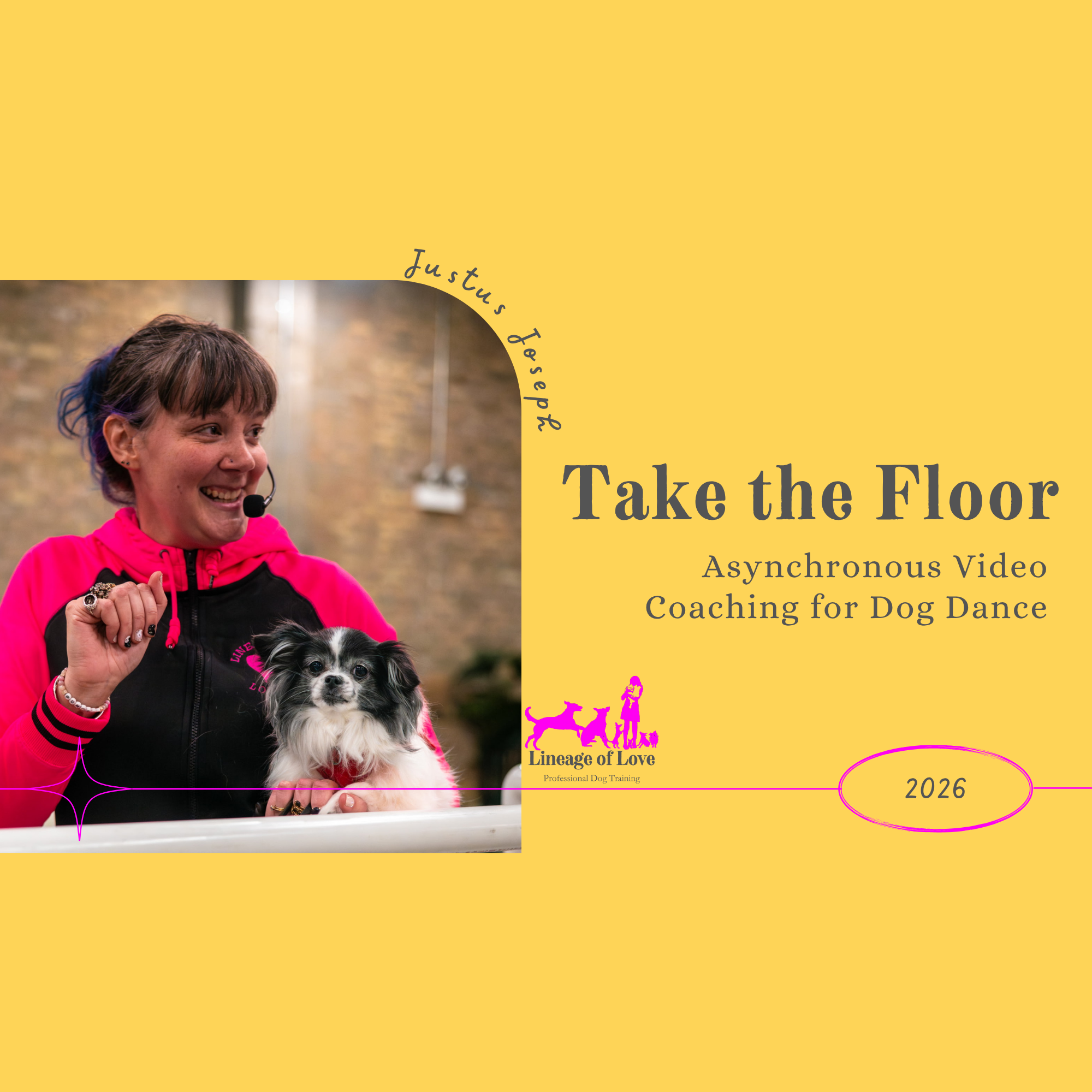 Take the Floor: Asynchronous Video Coaching for Dog Dance