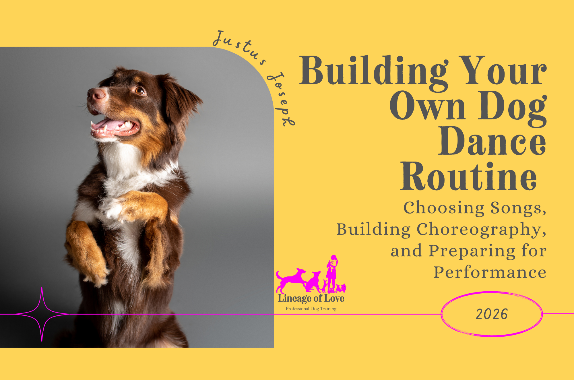 Cover of a 2026 dog training book titled 'Building Your Own Dog Dance Routine'. The cover features a brown and white dog with a playful expression, against a gray background on the left side and yellow on the right side with the text and logo.