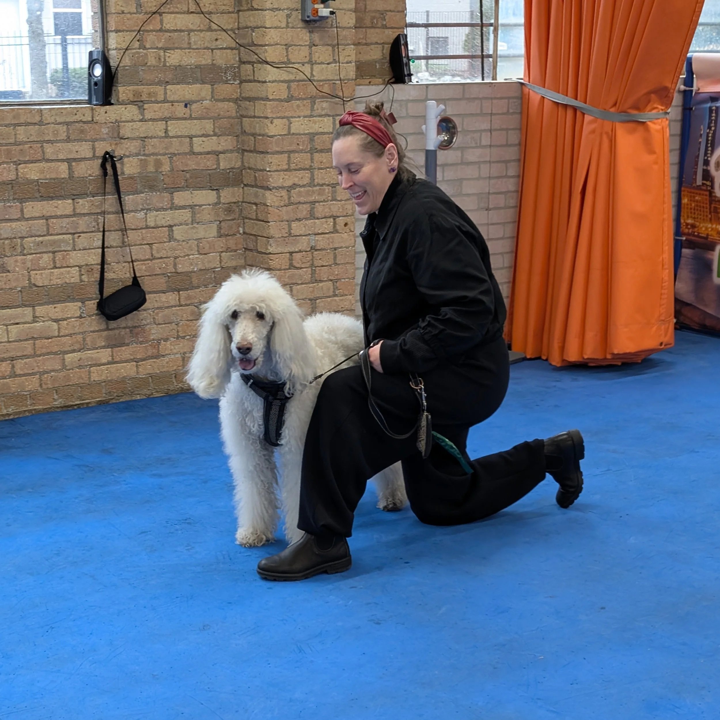 A woman kneeling on the blue floor next to a white poodle inside a room with brick walls and orange curtains, smiling while holding the dog's leash.