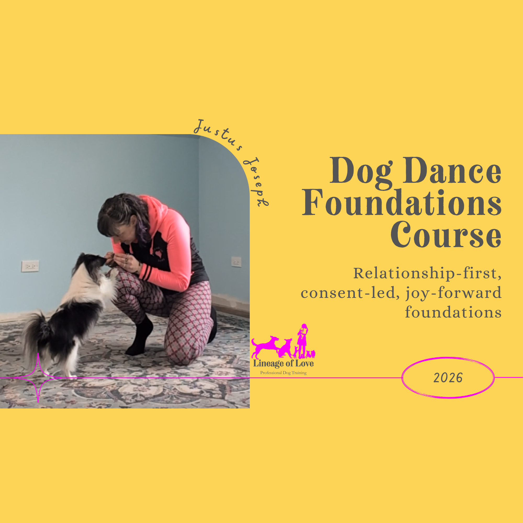 Dog Dance Foundations Course