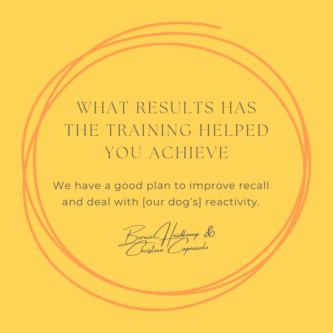 Inspirational quote on yellow background with orange circles reads: 'What results has the training helped you achieve? We have a good plan to improve recall and deal with our dog's reactivity.' Signed by Bernie Heidkamp & Christine Capuano.