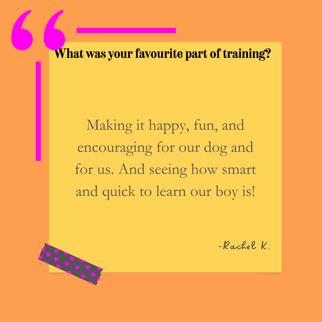 A colorful graphic with orange background, pink quotation marks, and a yellow note featuring a quote about training and learning, taped with purple tape decorated with pink hearts.