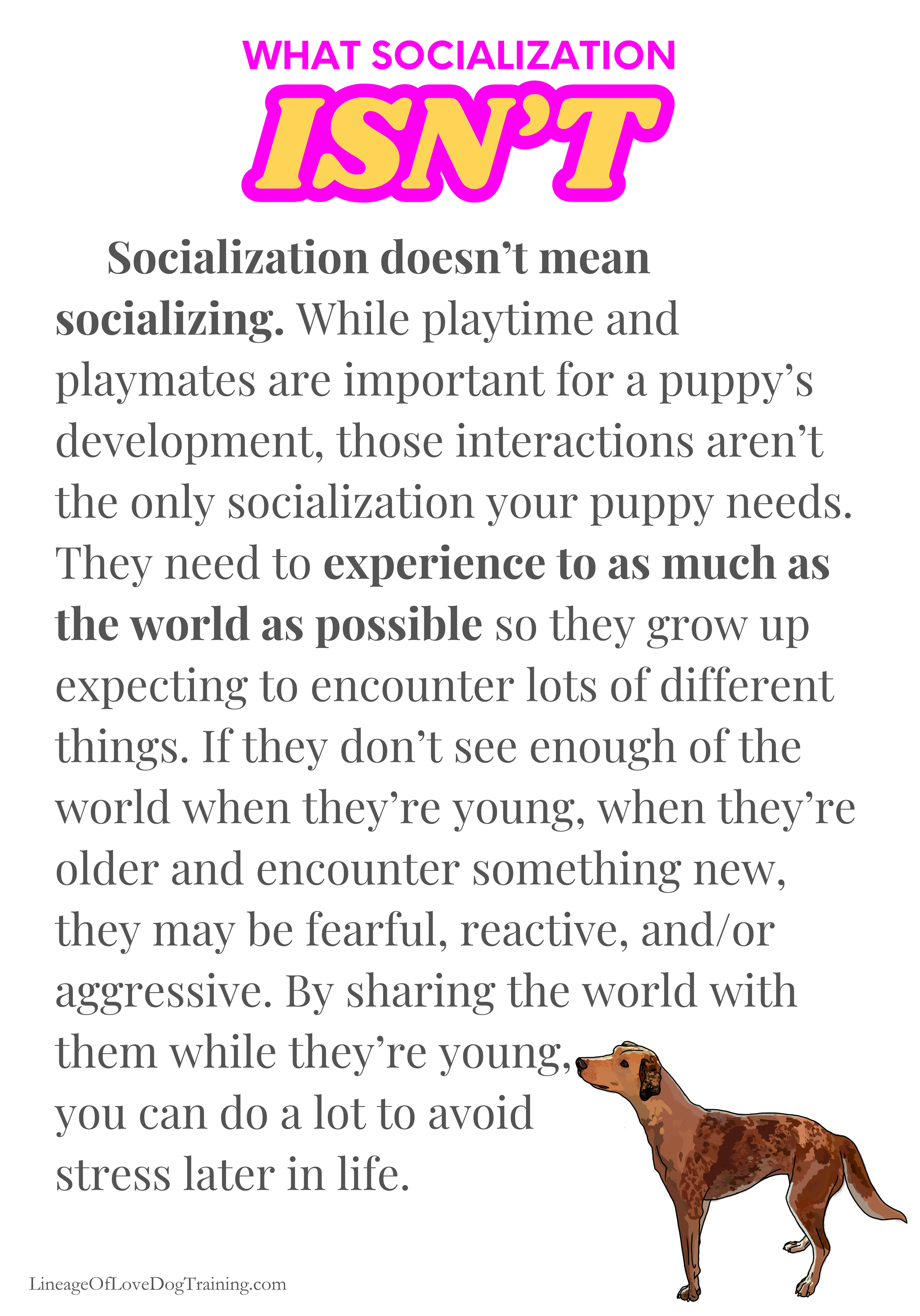 What socialization isn't.png