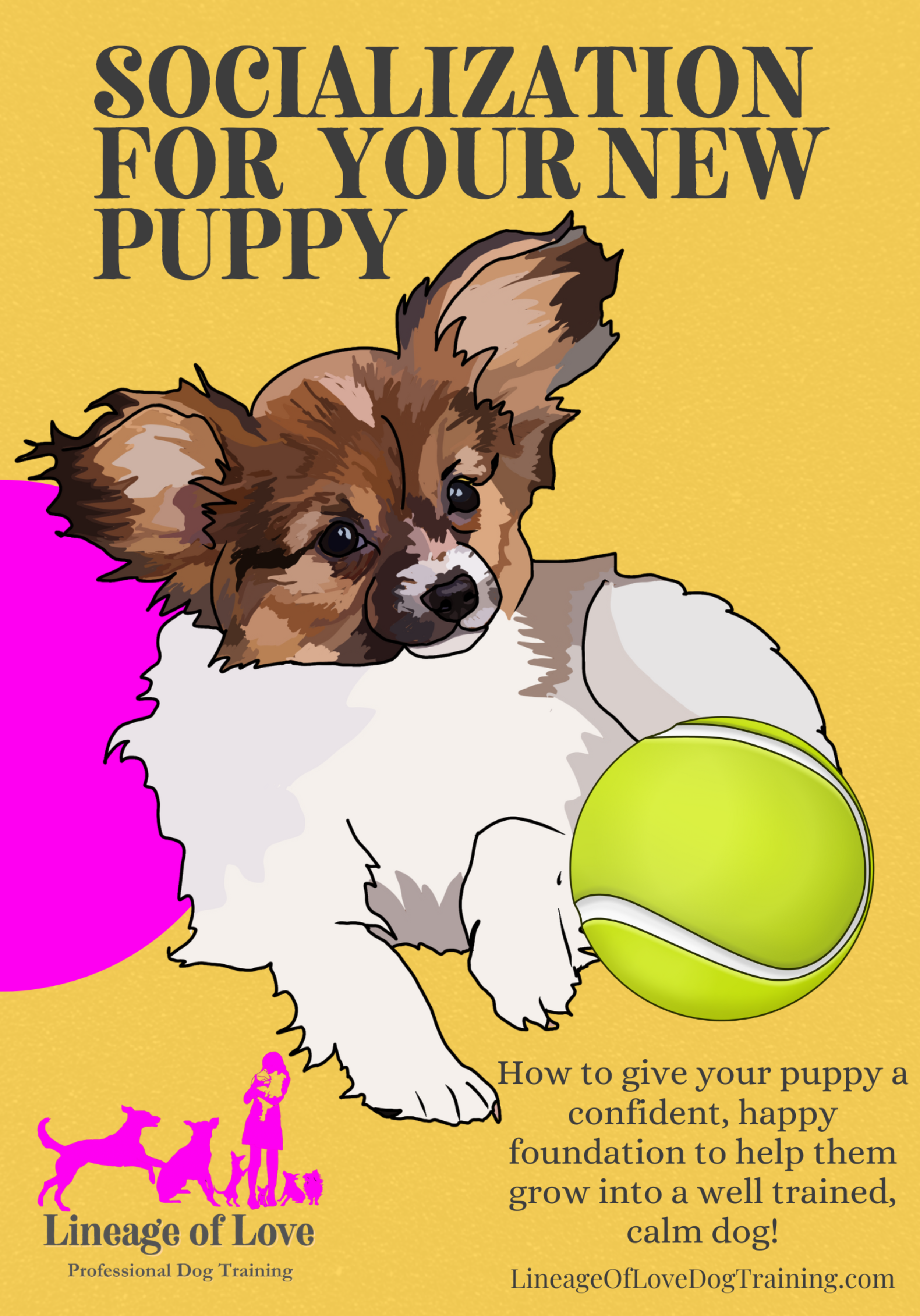 Cover Page.png