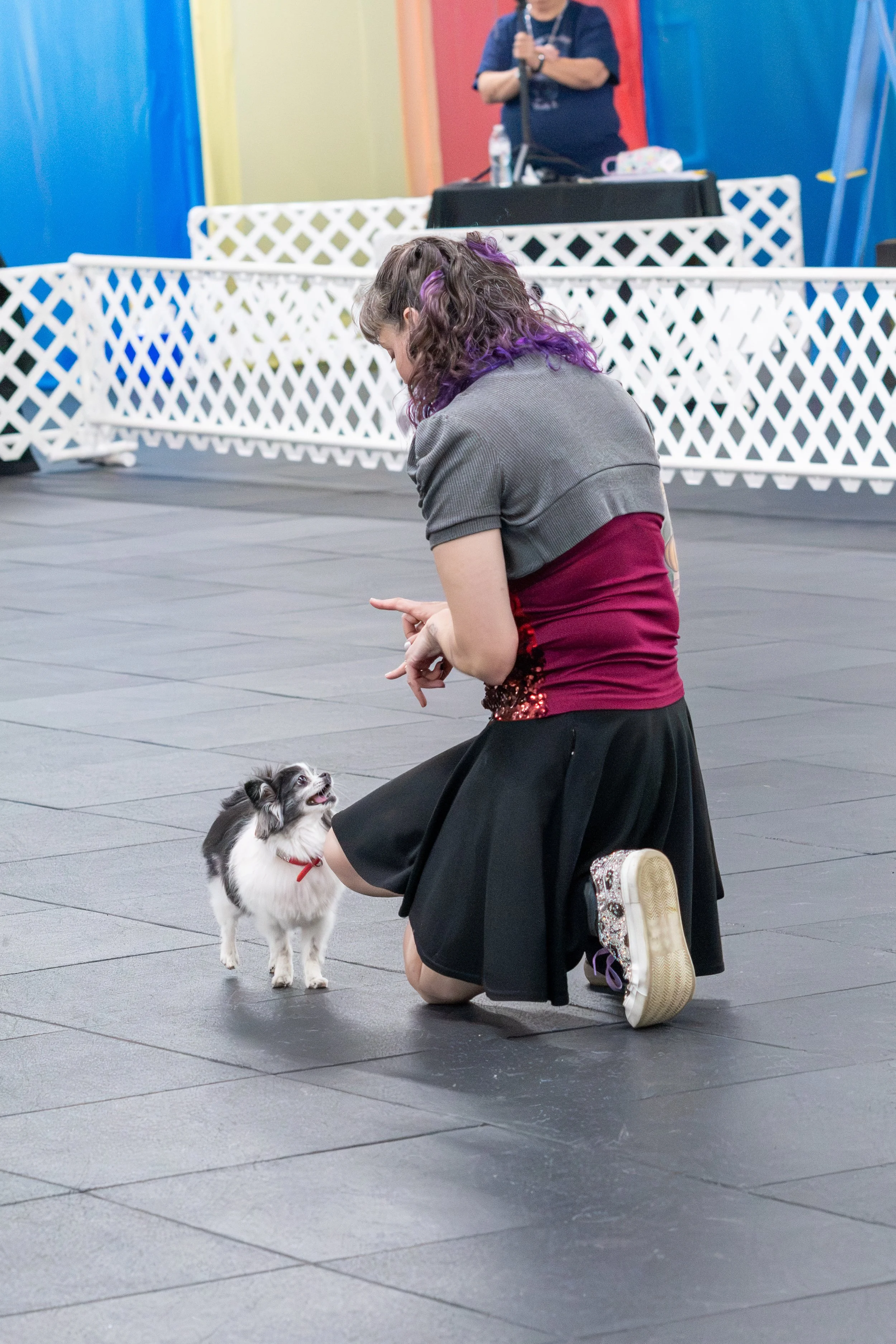A woman with purple-tipped hair kneels on the floor, happily interacting with a black and white dog during a dog training or agility event. The setting appears to be an indoor facility with colorful walls and white lattice barriers in the background.