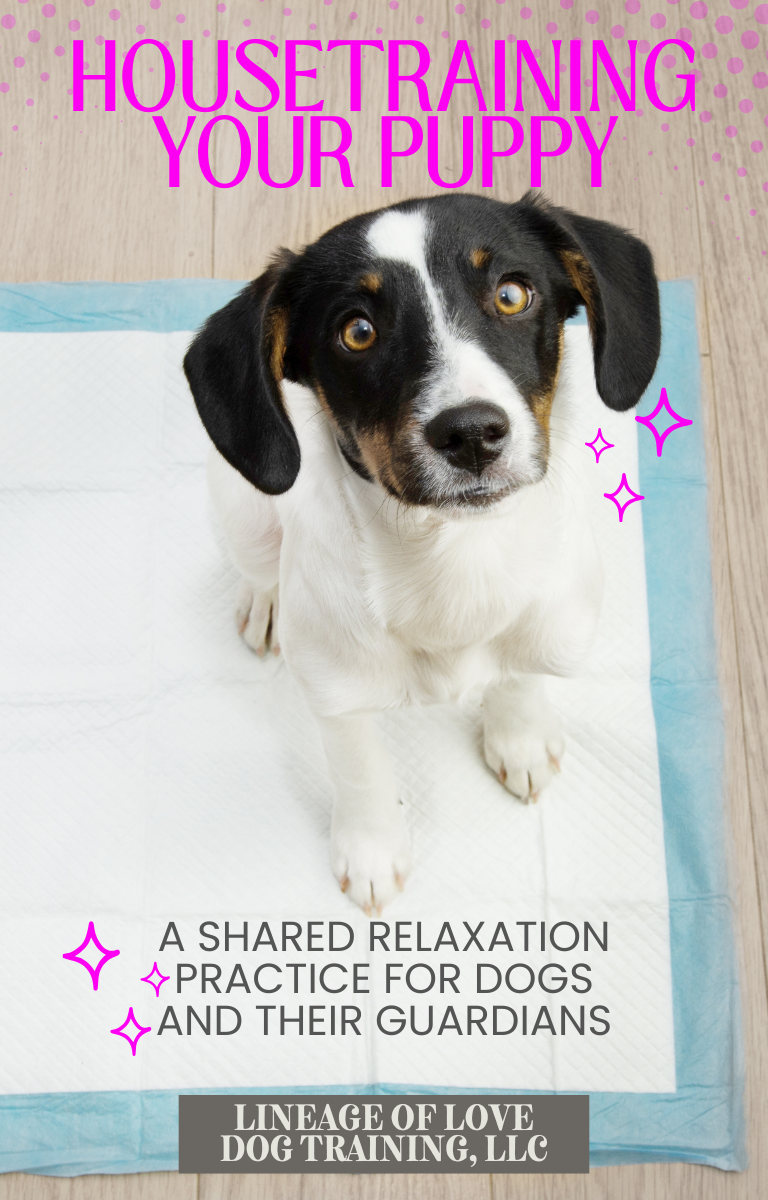 Making Space for Calm Title Page (1).png