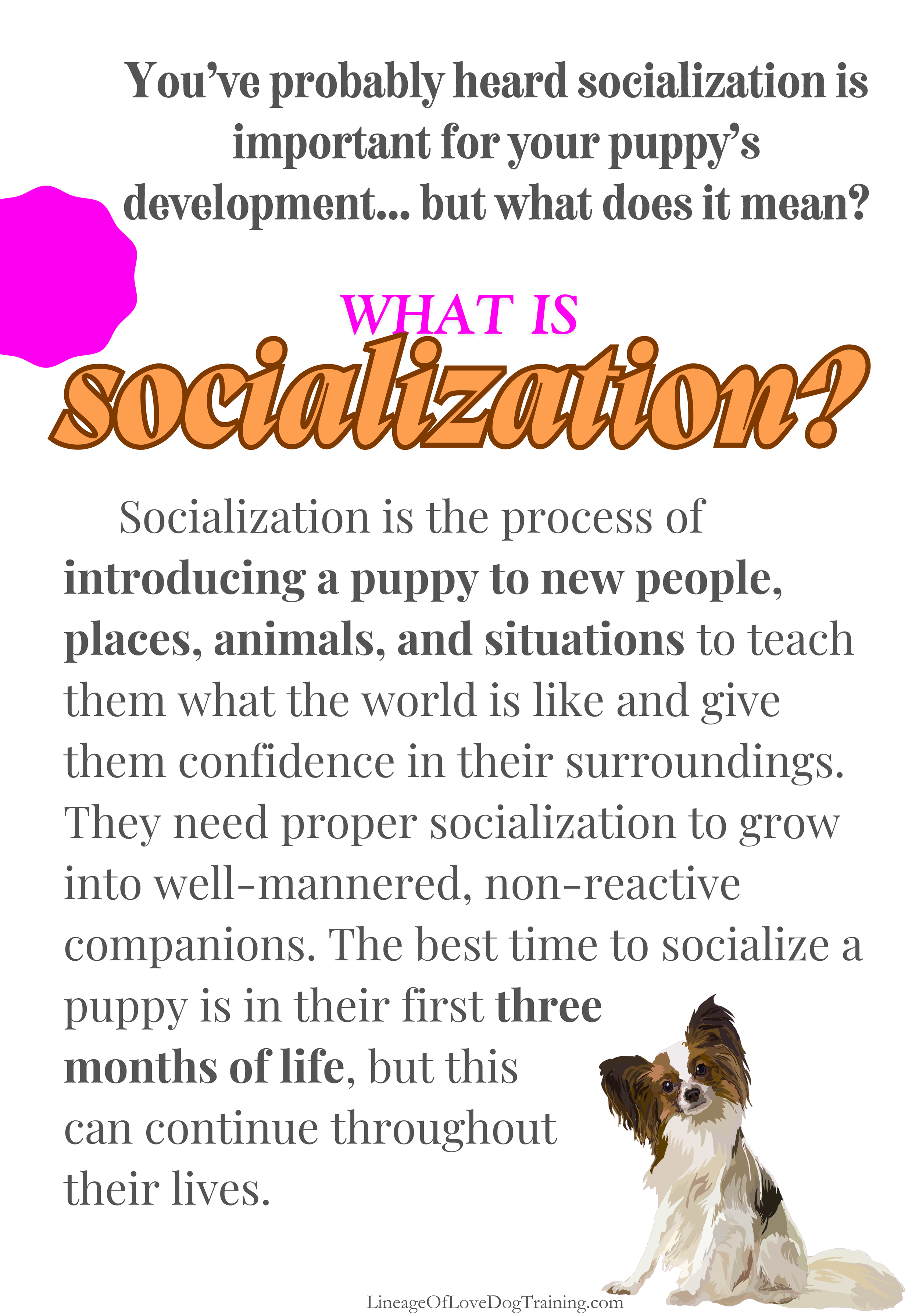 What is socialization_ Page.png