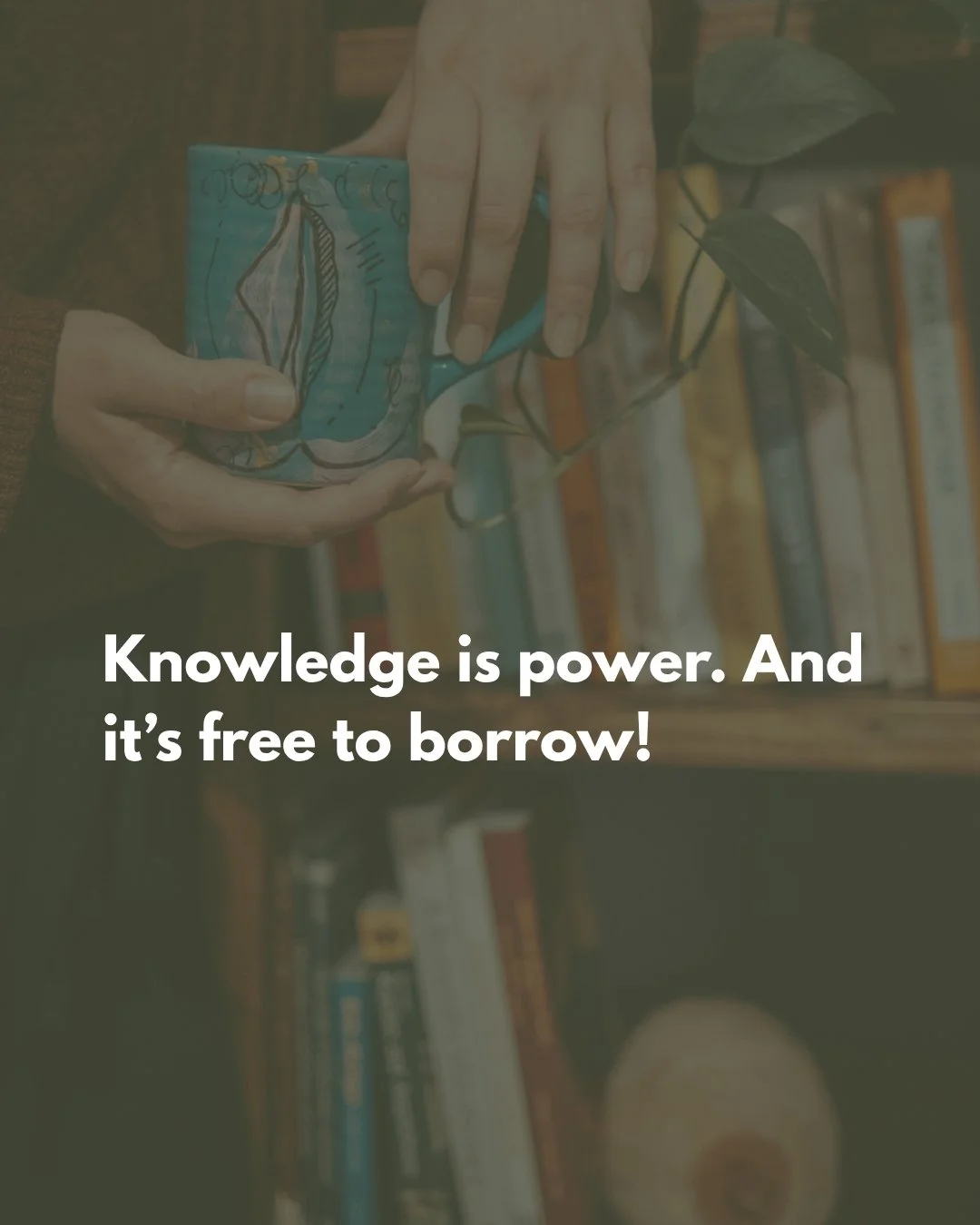 Did you know that when you work with me, you don&rsquo;t just get birth support? You also get access to the Wild Womb Lending Library, packed with real, evidence-based resources to help you feel ready for birth and postpartum. You can borrow books on