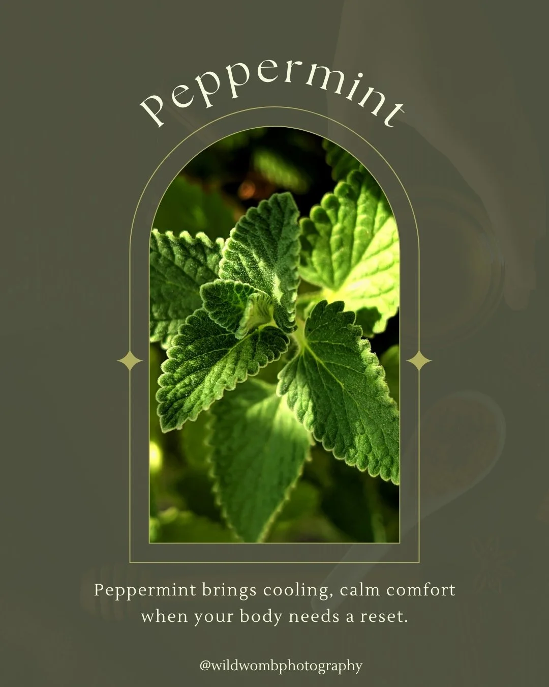 Peppermint is one of those herbs I reach for all the time because it does a lot with just a little. It can help calm nausea, ease headaches, settle the stomach, and open up your chest when breathing feels tight. A warm peppermint foot soak can pull t
