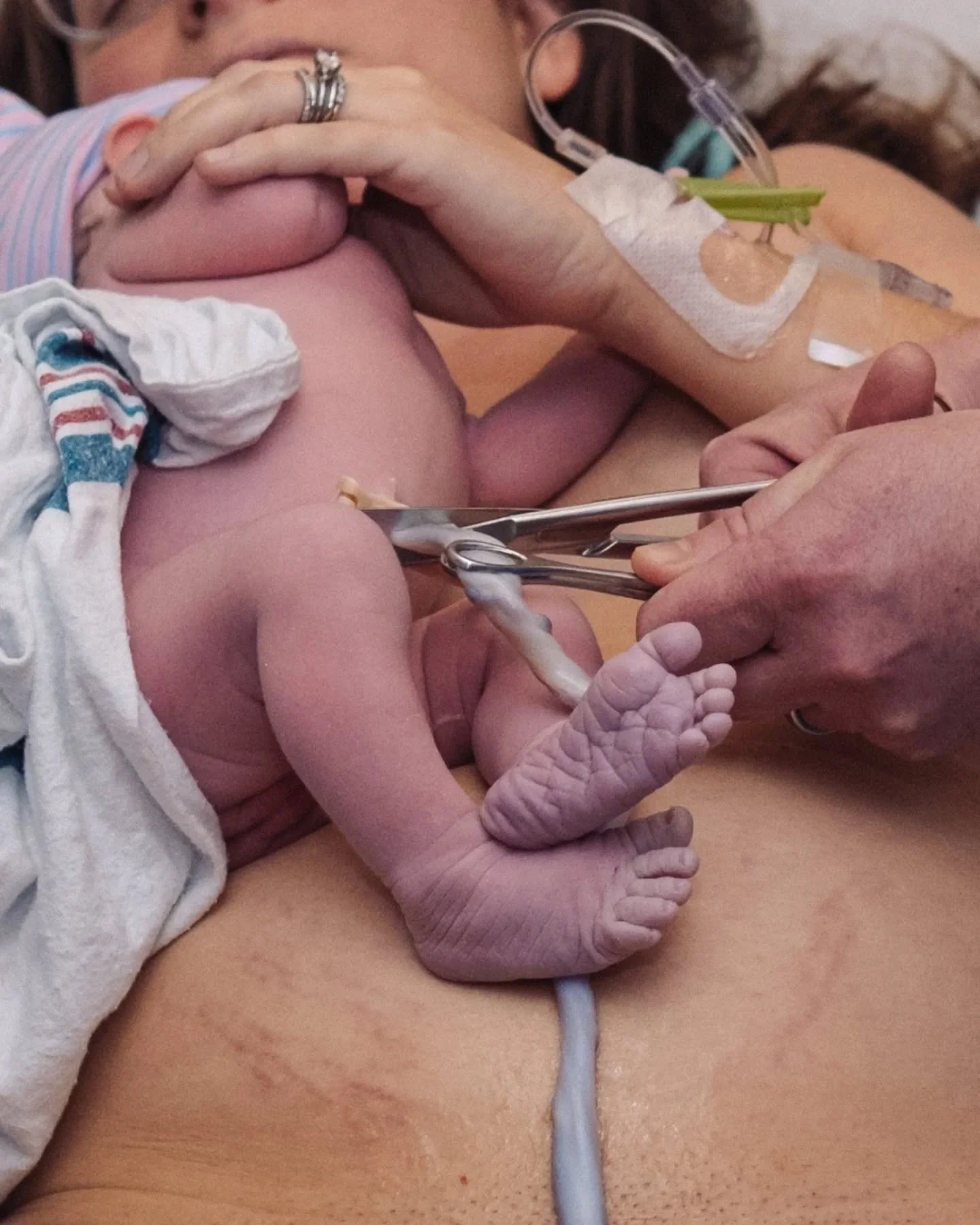 Ever wonder how your baby actually gets everything they need while they&rsquo;re growing in there?

The umbilical cord is your baby&rsquo;s lifeline. It connects your baby to the placenta, which acts like a built-in supply station between your body a