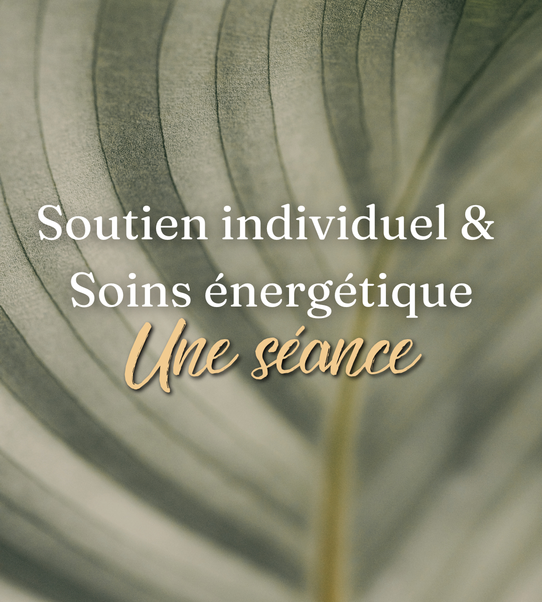 Soutien individuel & Soins énergétiques - Séance à l'unité