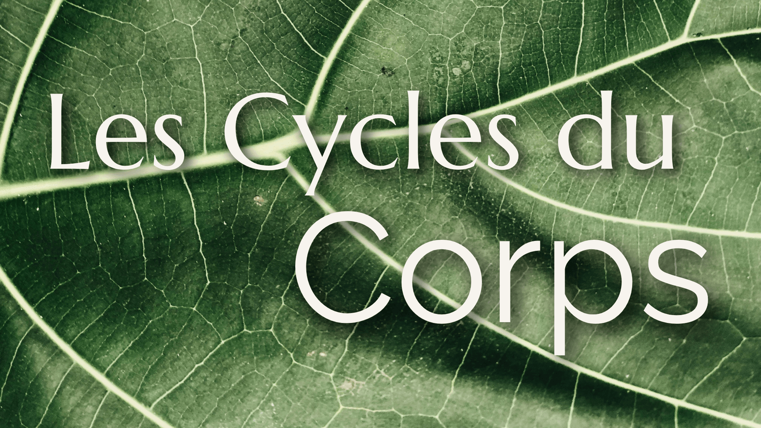 Les Cycles du Corps