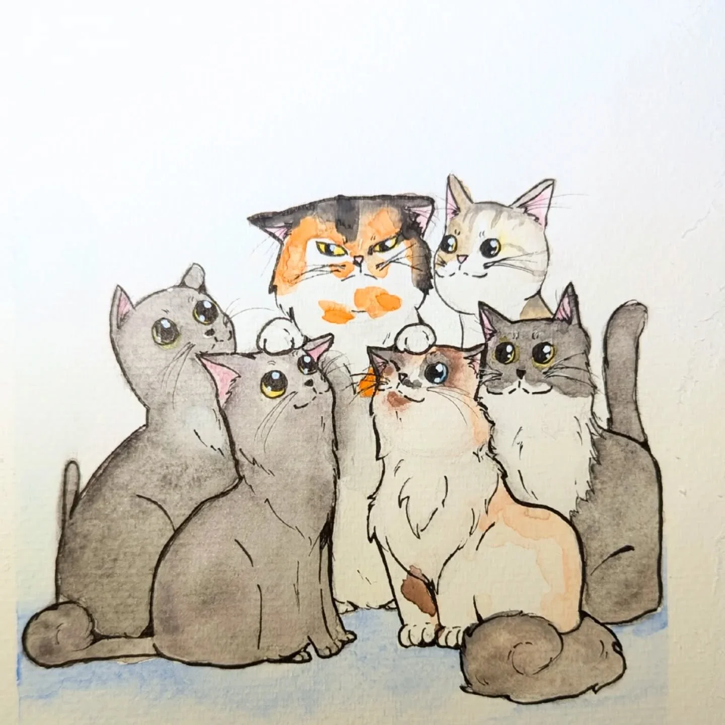 Princess and her five brothers! It's not often I get to paint 6 sweet kitties, but it's a treat when I do. 

Interested in having your pets painted? Check out my website- link in bio.

#cat #cats #watercolor #watercolorpainting #painting #painter #po