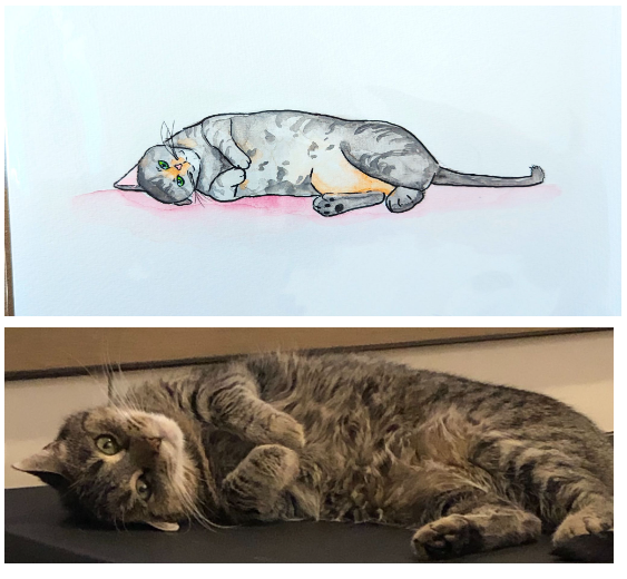 Jazzy_grey tabby.png