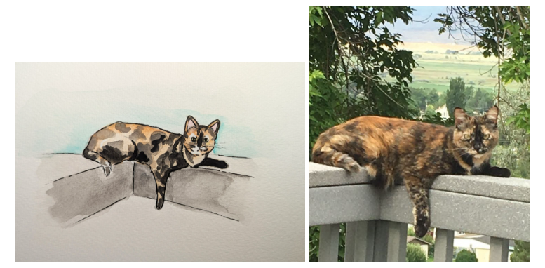 tortie on ledge.png