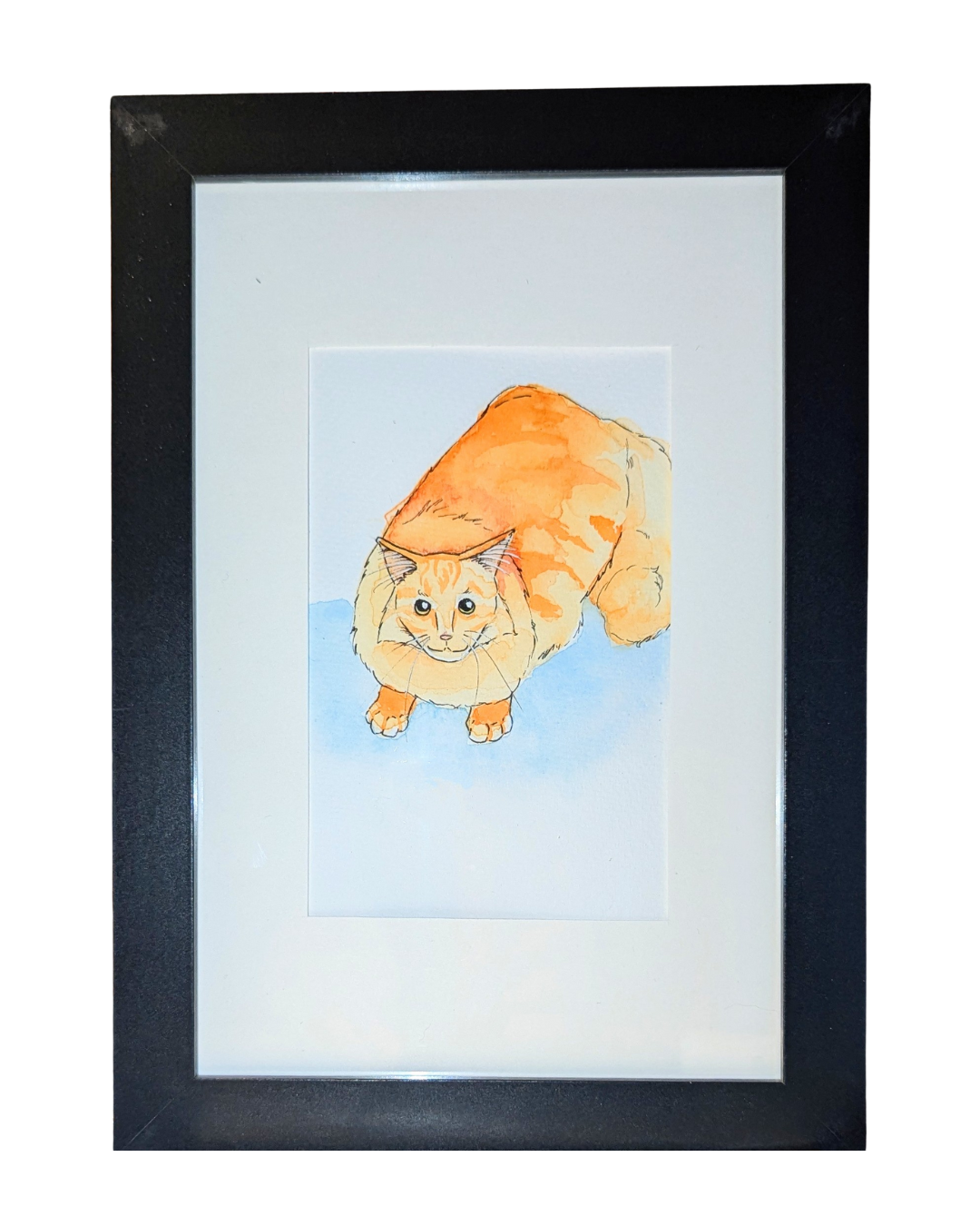 orange cat.png