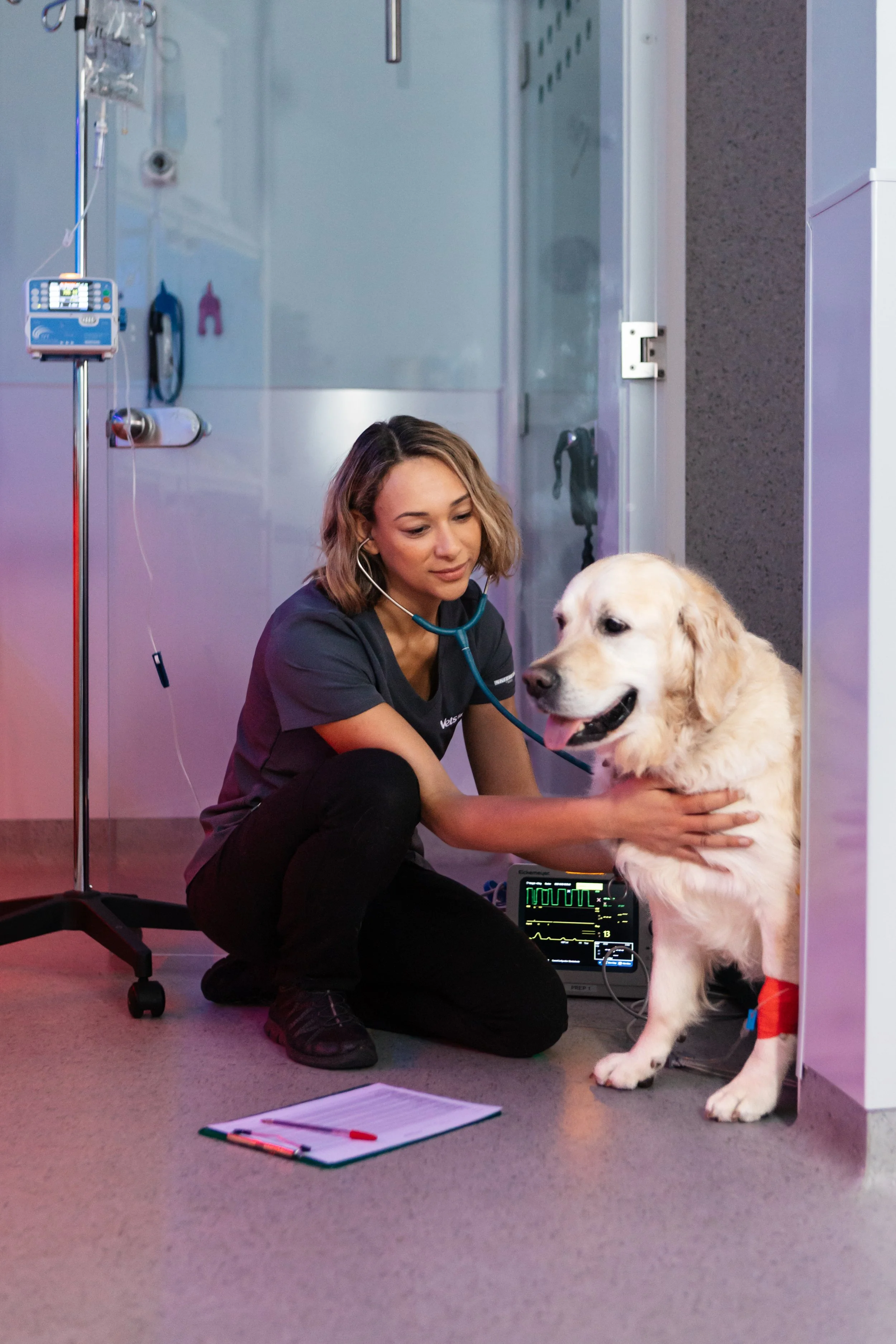 vets-for-pets-northampton-02dec25-12.jpg