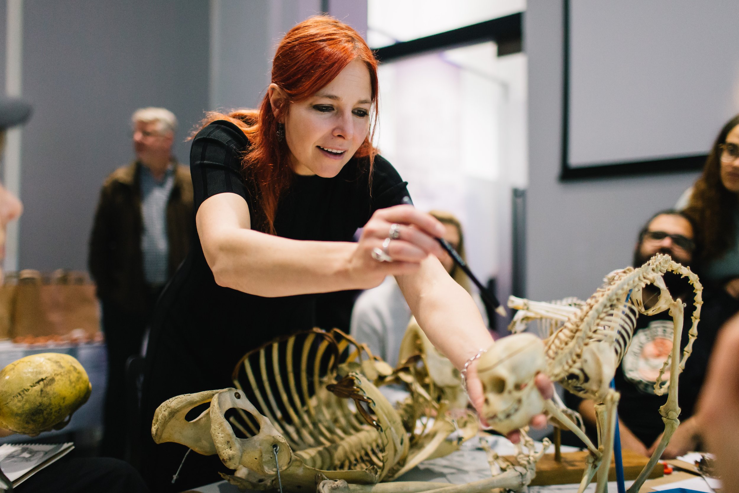 lapworth-lates-07nov18-176.jpg