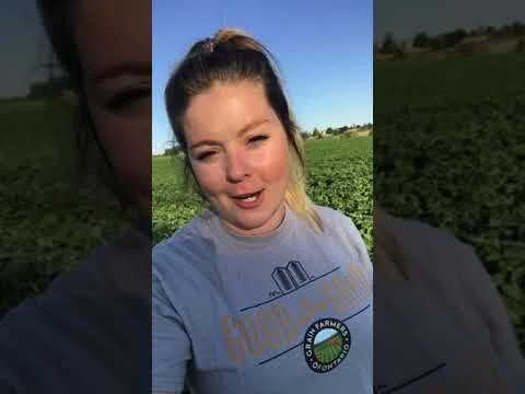 Grain Farmers of Ontario - School Tours Welcome, Ages 5-11 (Copy)