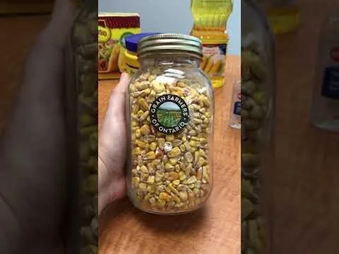 Grains in Our Life (Copy)