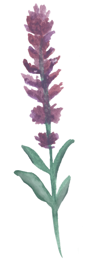Painted lavender