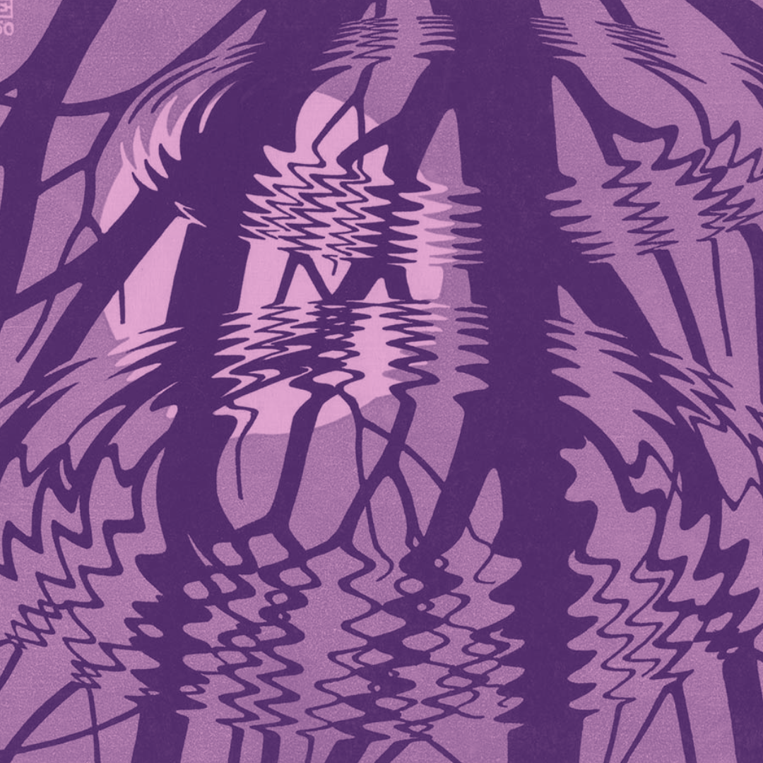 MC Escher - rippled surface