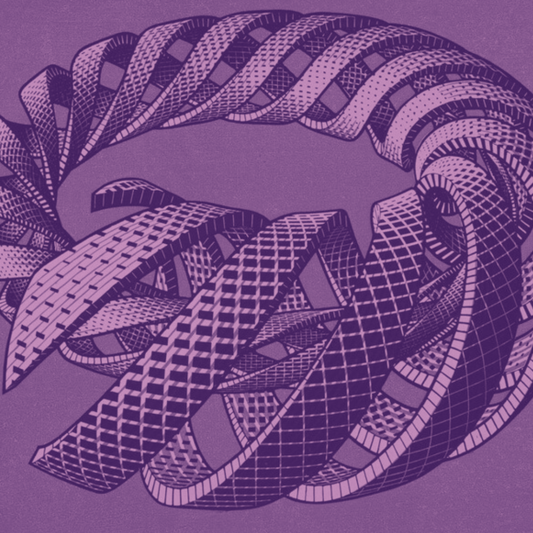 MC Escher - spirals
