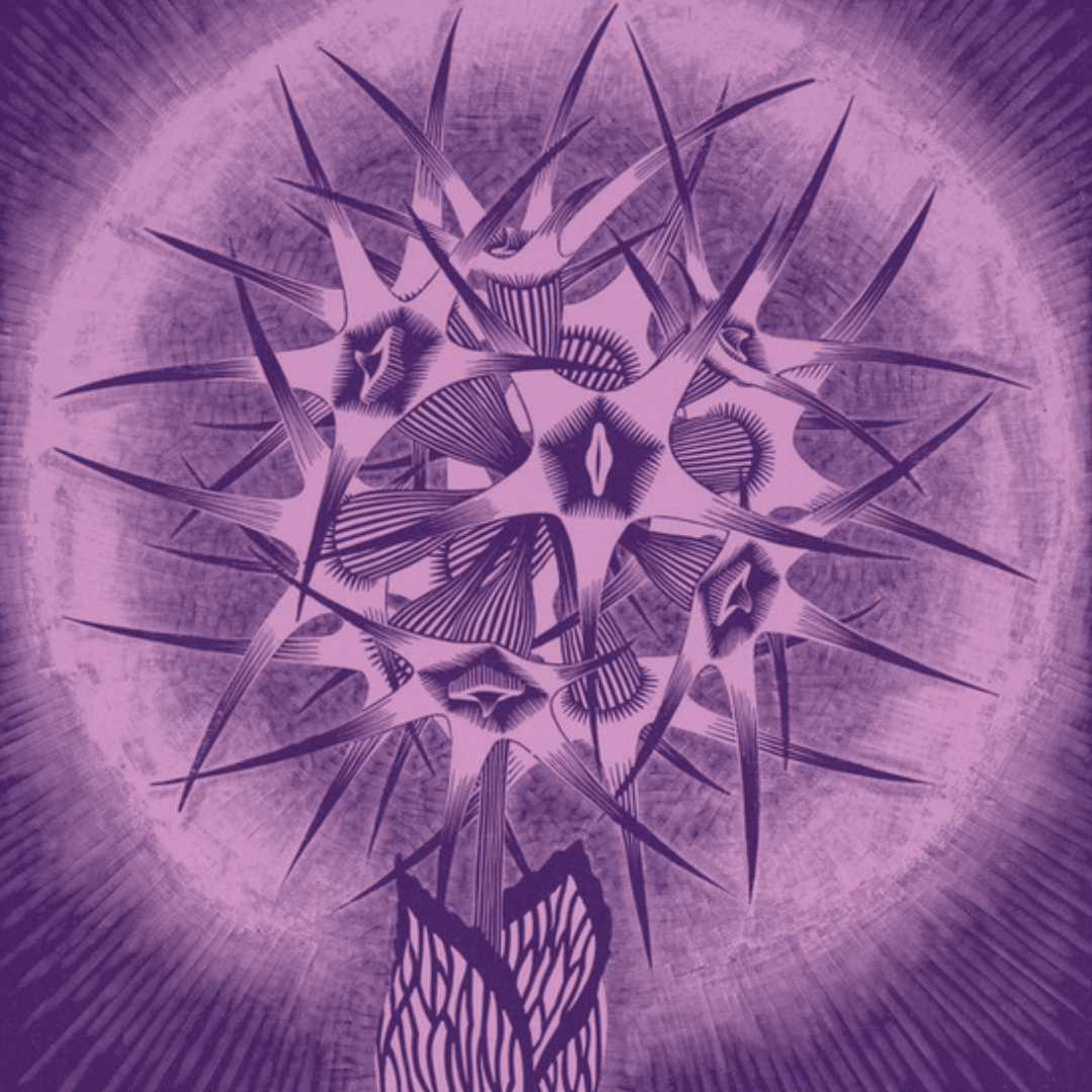 MC Escher - prickly flower