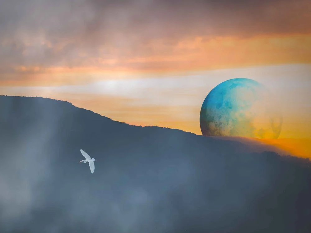 Dreamlike territories