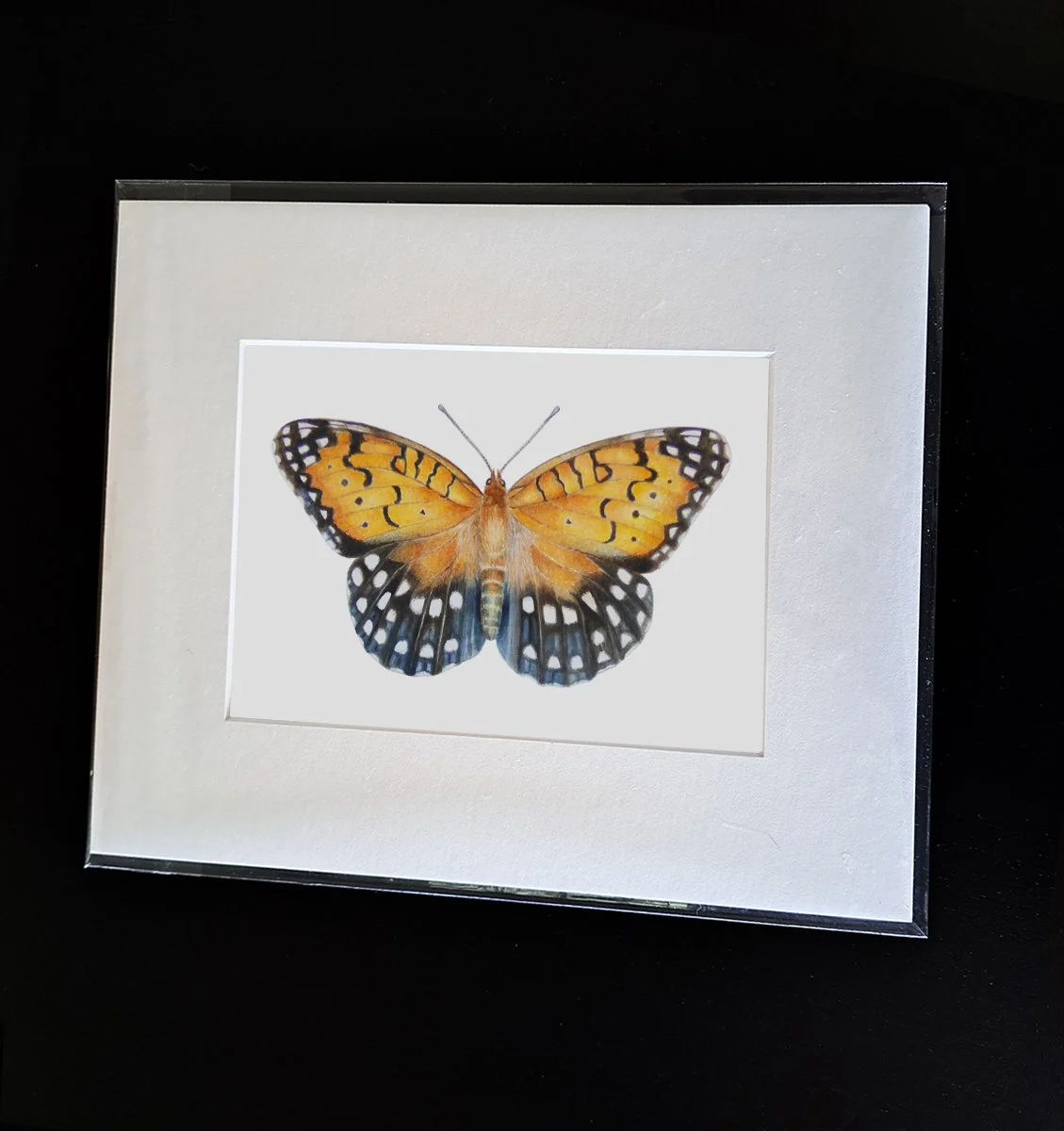 fritillary1.jpg