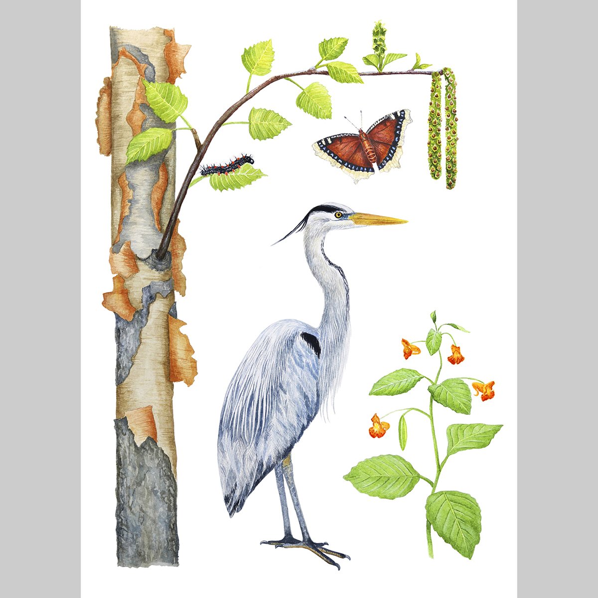 heron_print b.jpg