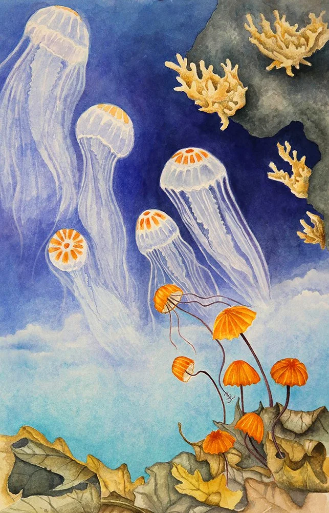 Limited Edition Metamorphosis
