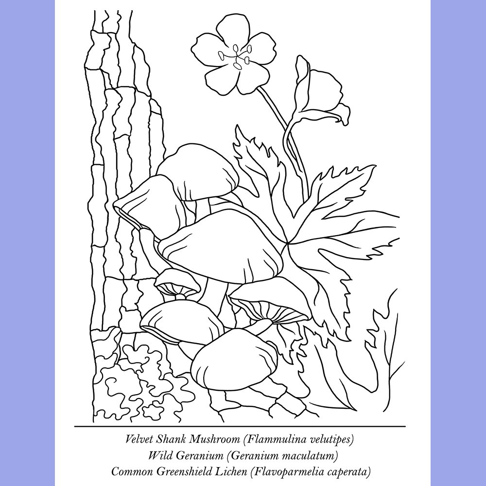 Educational Coloring Pages, set of 10