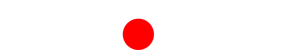 Safety Vision logo