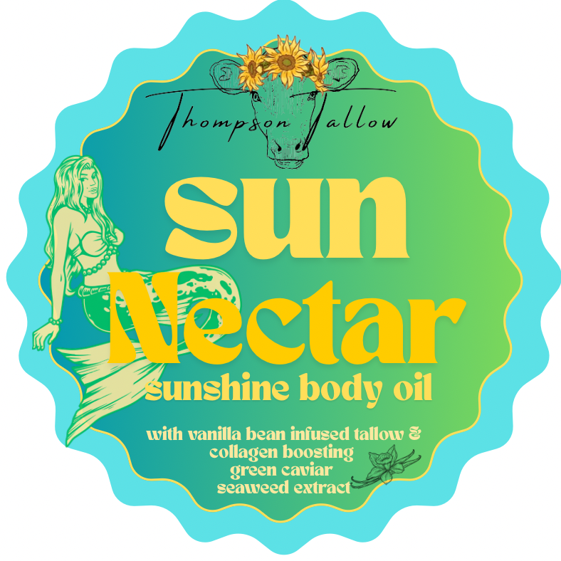 Sun - 1.png