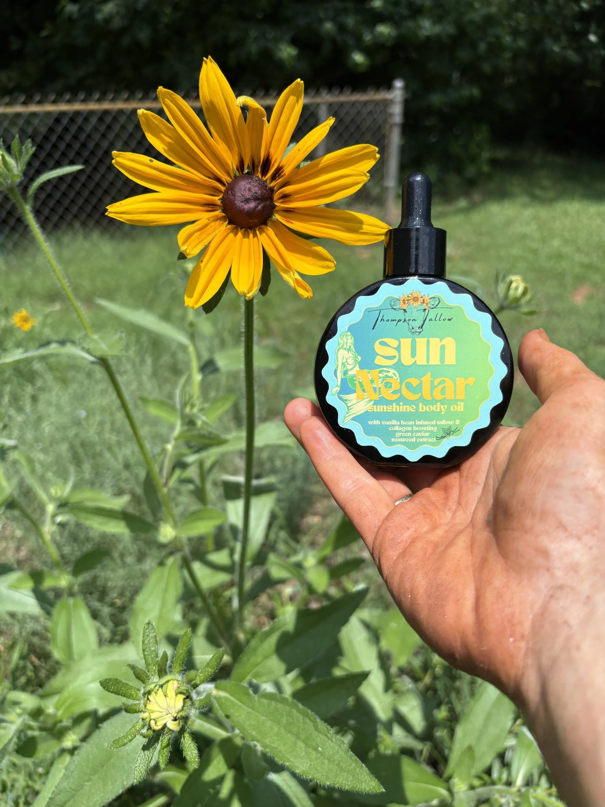 SUN NECTAR - Sunshine body oil 2 oz