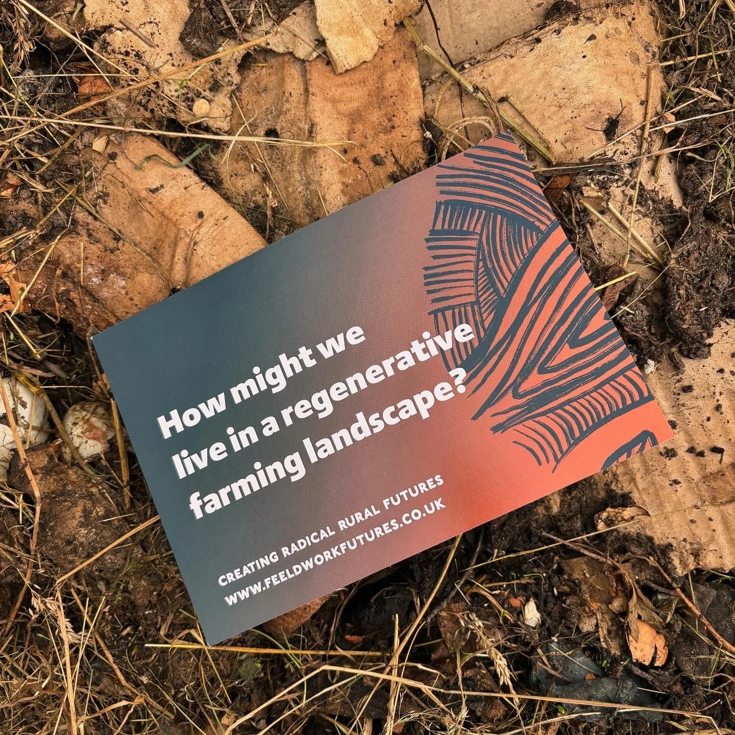 A flyer with a gradient background featuring abstract line art in black, lying on dirt and dried grass. The flyer asks, 'How might we live in a regenerative farming landscape?' and includes information about creating radical rural futures, with a website URL www.feildworkfutures.co.uk.