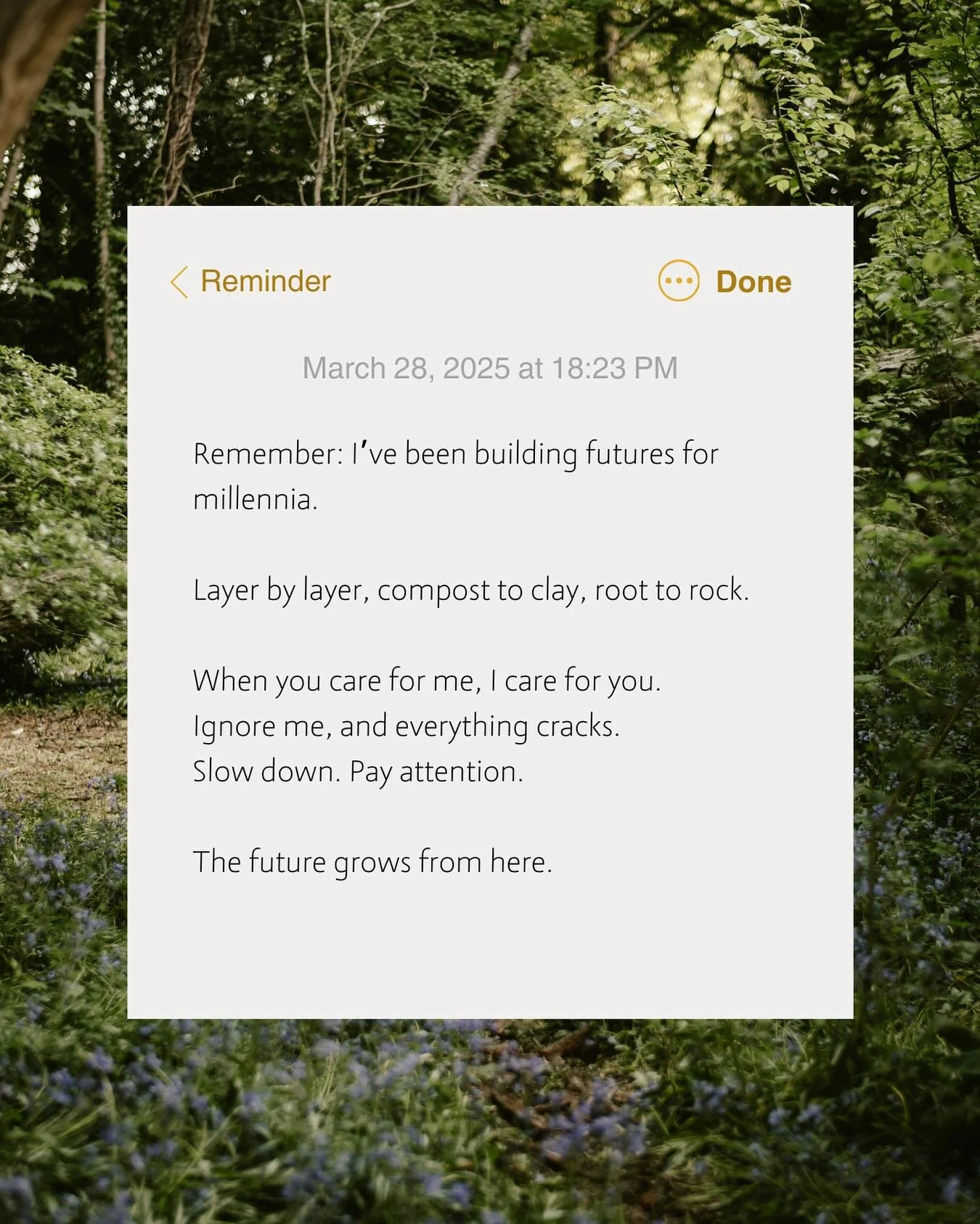 🌱 Reminder from Soil
More-than-human design means listening to the ground beneath us.
Soil holds memory, resilience, and possibility its emotional and ecological infrastructure.
Rural communities have always known this. Futures aren’t just