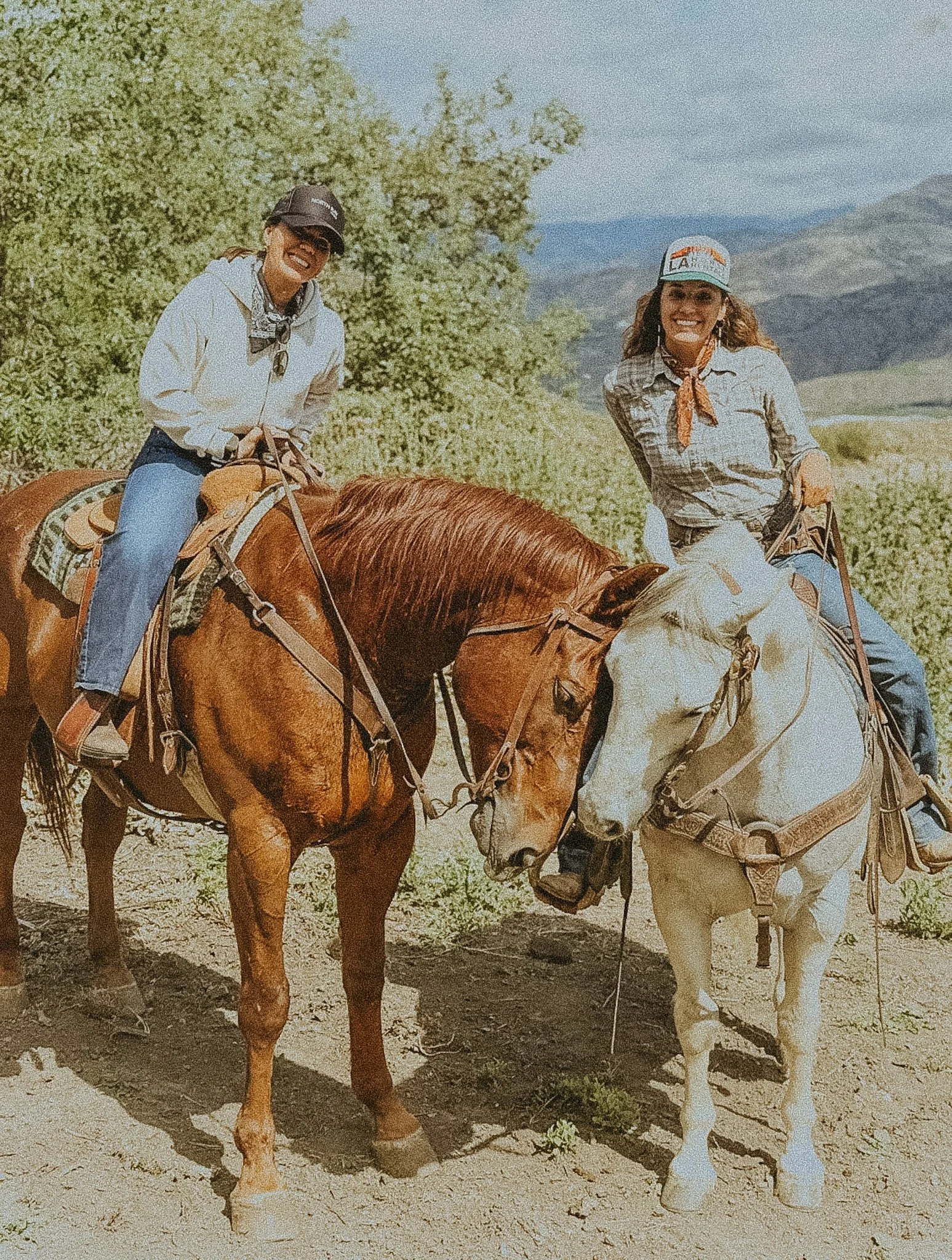 Equine-Guided Solstice Day Retreat