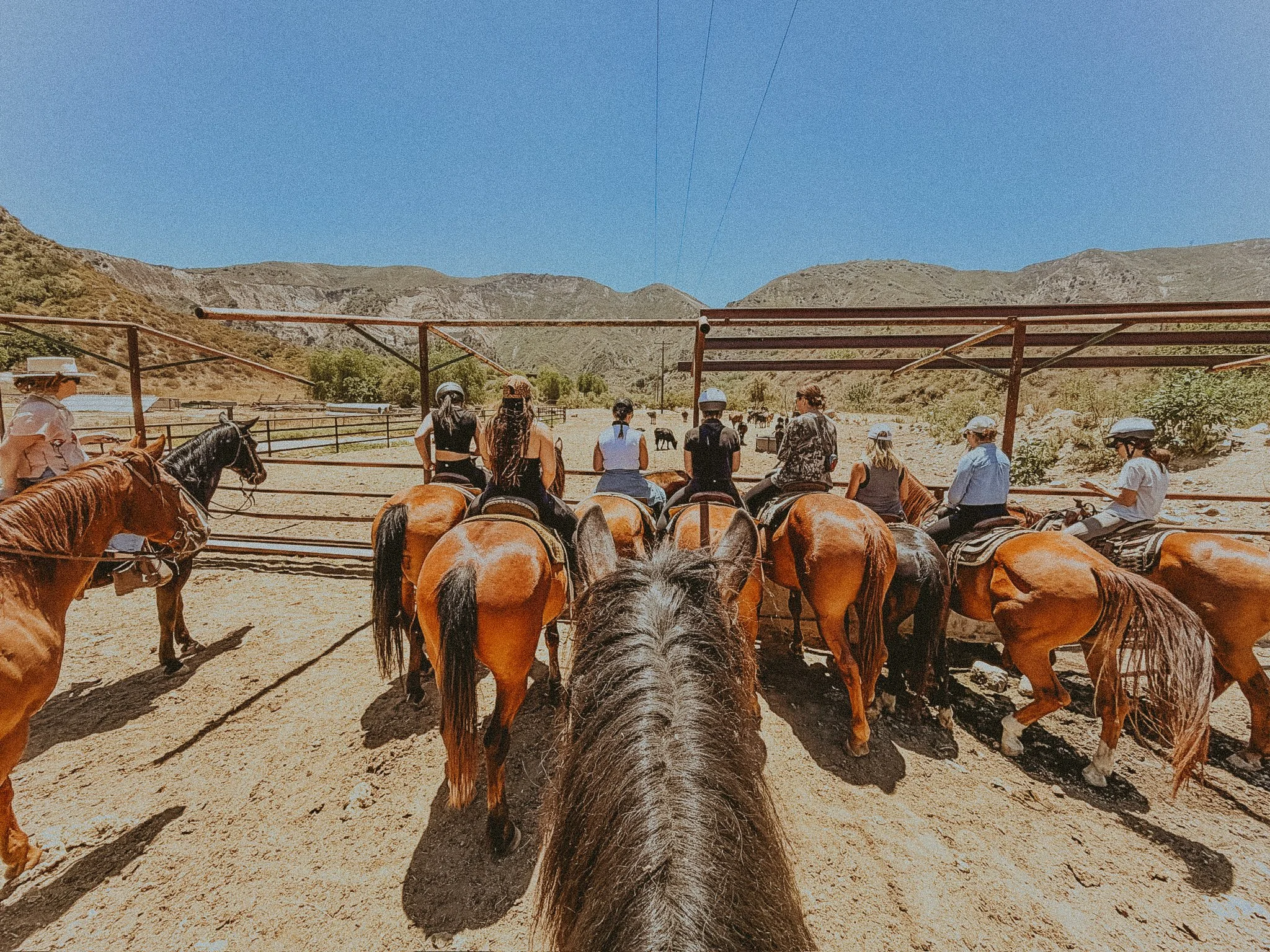 Under the Harvest Moon - an Equine-Guided Equinox Retreat